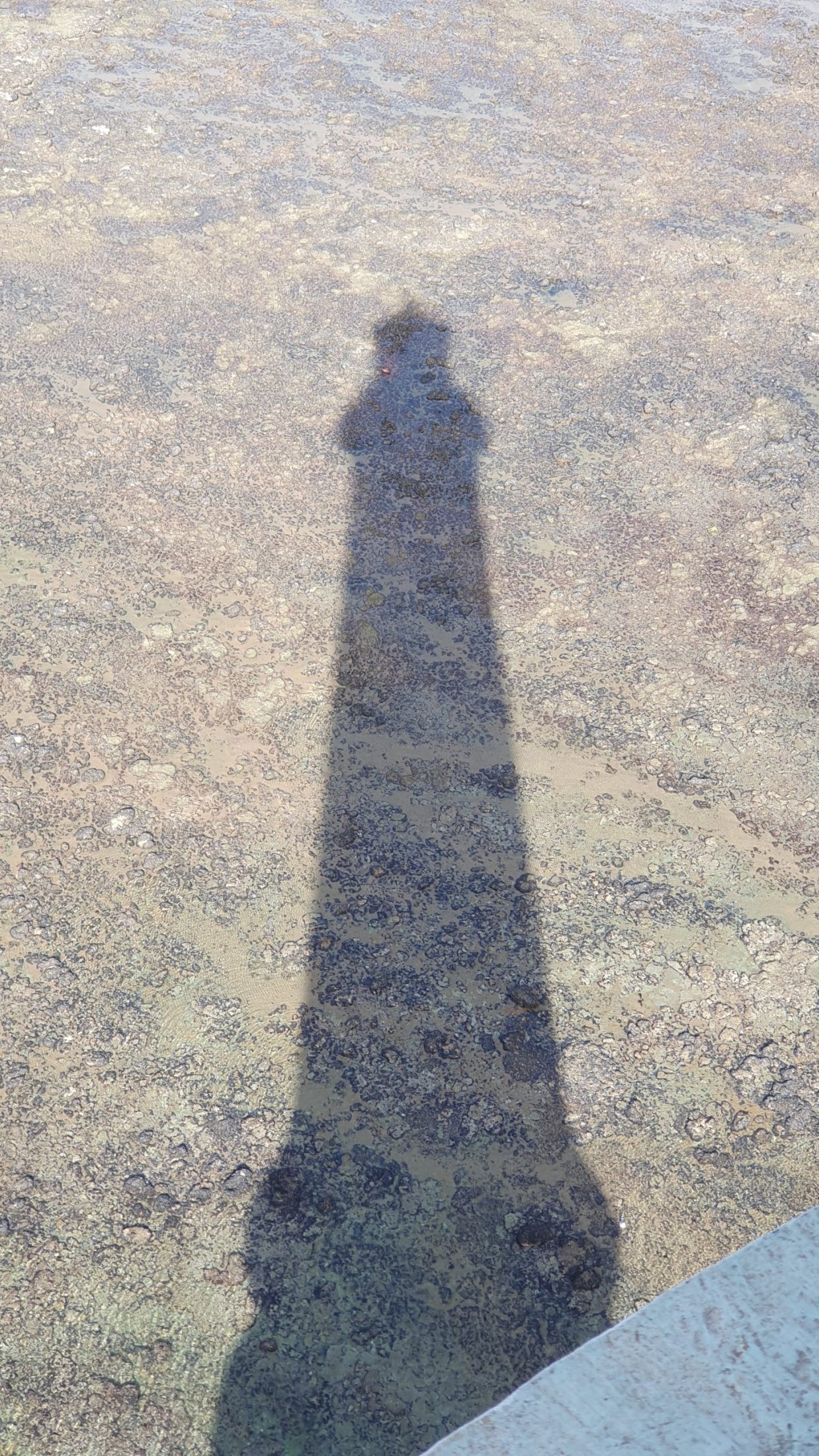 20241002_112812